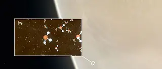 Molécula rara em Vênus pode sinalizar presença de vida extraterrestre