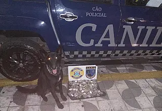 Canil localiza 500 gramas de drogas no Parque Maria Helena