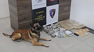 Mais de 20 quilos de maconha são apreendidos em Mogi