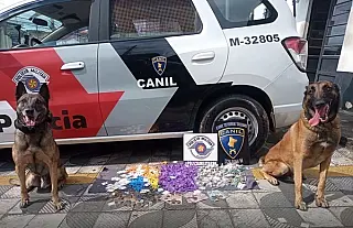 Equipe do Canil da PM apreende mais de 700 papelotes de drogas no Jardim Belém