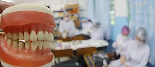 Tratamento odontológico especial vai beneficiar 300 crianças de áreas rurais