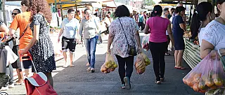 Projeto mantém 20 feiras livres em funcionamento