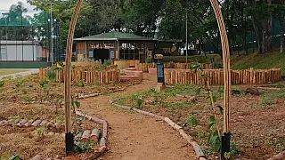 Sesc Mogi destaca a programação de educação ambiental