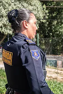 GCM cria programa para agricultores em Ferraz de Vasconcelos
