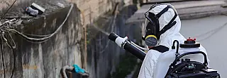 Zoonoses realiza ações de combate ao Aedes aegypti no Boa Vista