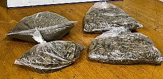 Canil da GCM apreende drogas no Jardim Colorado