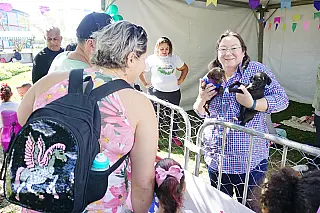 No dia do Meio Ambiente, ‘Baby, Me Leva’ promove adoção de 30 animais