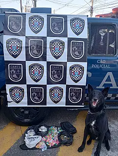 Canil da GCM apreende meio quilo de drogas