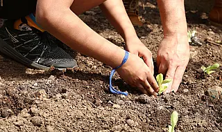 Hortas comunitárias resistem à urbanização em São Paulo