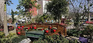 Viveiro Municipal amplia jardim e cria espaço para cultivo de mudas de hortaliças e de flores