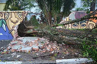 Após fortes chuvas, Defesa Civil monitora Alto Tietê e auxilia retirada de galhos de ruas