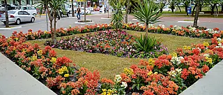 Moradores aprovam revitalização da Praça Cidade das Flores