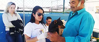 Vacinação contra a raiva vai até sábado em dois postos de Ferraz