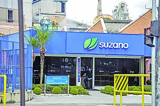 Empresa Suzano abre inscrições para o Programa Trainee 2021