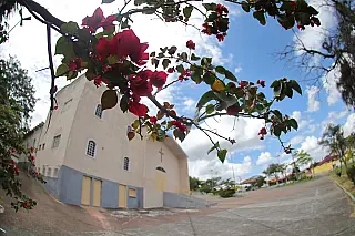 Viveiro Municipal realiza manutenção de 13 praças