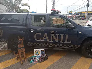 GCM localiza drogas no Jardim Dona Benta e Alterópolis