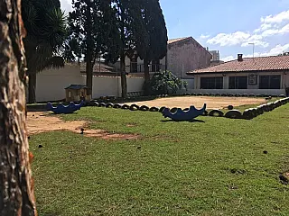 ITJM e Aamae celebram Dia Internacional da Mulher neste sábado com evento para 90 mulheres