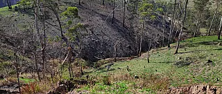 Ação de recuperação ambiental beneficia nascente de água