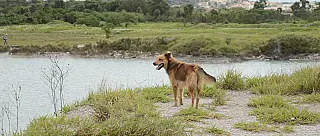 Cidade solicita ao 32º Batalhão apoio para policiamento na Lagoa Azul