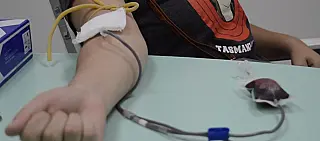 Com estoque quase zerado, Hemocentro de Suzano faz apelo para doadores