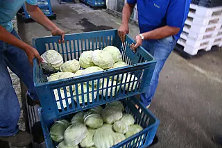 Banco de Alimentos recebe verba de R$ 300 mil para aquisição de insumos