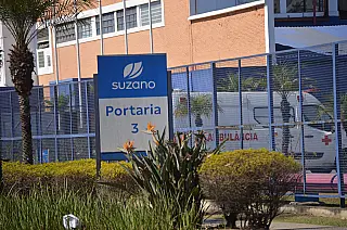 Inscrições para o Programa de Estágio 2021 na Suzano vão até 5 de outubro