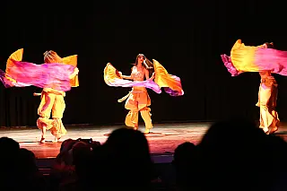 Cultura inscreve para Mostra e Conferência de Dança a partir desta quarta-feira