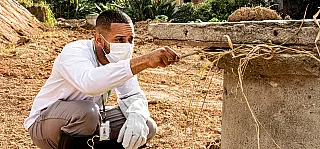 Ferraz promove vistorias em combate a escorpiões