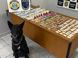 Canil da GCM localiza drogas em terreno da rua São José