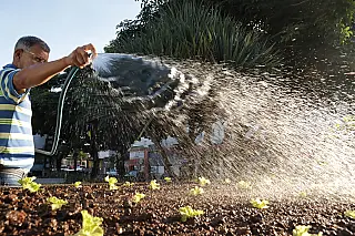 Suzano ganha estações meteorológicas para impulsionar produção agrícola