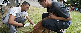 Em cinco edições, Bairro Feliz realiza a vacinação de 827 cães e gatos contra a raiva