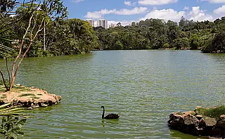 Férias de julho: parques estaduais são opção de lazer e cultura em SP e entorno