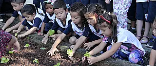 Horta Pedagógica é realizada em escolas municipais de Suzano