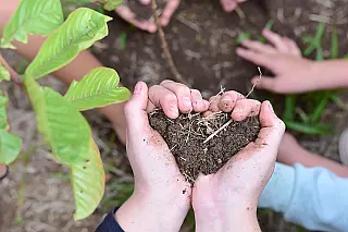 Mês do Meio Ambiente movimenta cerca de 5 mil pessoas em Suzano