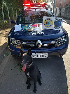 GCM apreende drogas e documentos no Distrito de Palmeiras