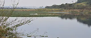 Projeto prevê revitalização e aterro parcial da Lagoa do Raposão no Sesc