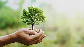 Fiesp e Ciesp promovem debate sobre 'A Gestão Ambiental nos Municípios'