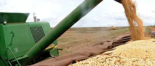 Brasil aumenta produtividade de grãos na safra 2018/2019