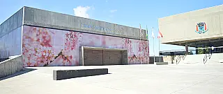 Câmara de Suzano recebe Selo de Acessibilidade Digital