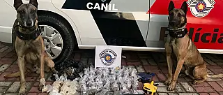 Canil e Força Tática encontram 5 quilos de drogas e arma em Ferraz