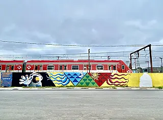 Festival Literário e de Cultura Urbana cumpre ações da Lei Aldir Blanc em Suzano