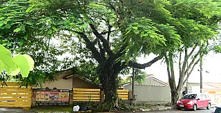 Região Norte de Suzano sofre com queda de energia