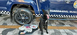 GCM realiza Operação Saturação no Jardim Casa Branca