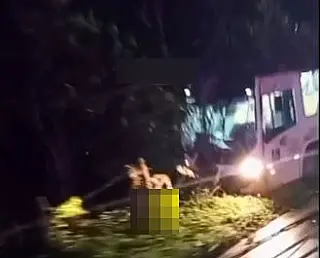 Motorista passa mal e ônibus bate em poste na Mogi-Salesópolis
