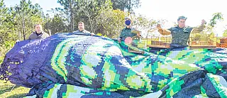 Guarda Ambiental apreende balão e aves silvestres em Itaquá