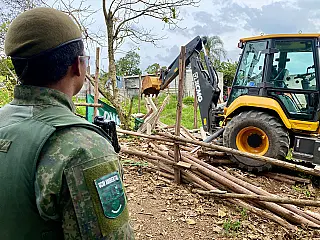 Guarda Ambiental de Itaquá flagra corte irregular de árvores no Jardim Adriana