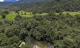 Brasil diminui em 43% área de vegetação nativa fragmentada