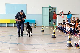 Canil da GCM realiza apresentação para 140 alunos em escola do centro