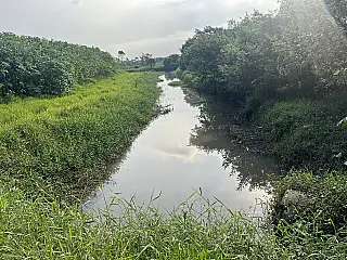 Na propaganda, empresa diz que devolve vida aos córregos; essa despoluição começou no Alto Tietê?