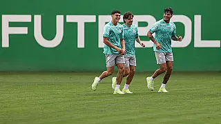 Palmeiras recebe o Bahia pelo Brasileirão